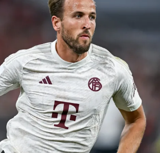 系列赛延长 系列赛延长